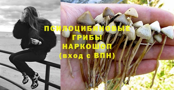 мяу мяу мука Алзамай