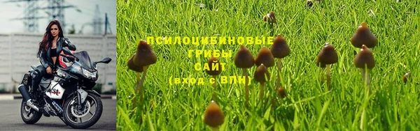 мет Алексеевка