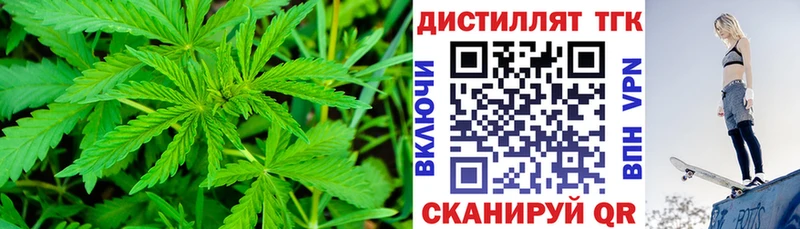 цены   Ставрополь  Дистиллят ТГК концентрат 