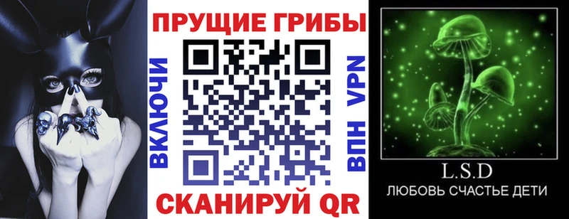 Псилоцибиновые грибы Magic Shrooms  Ставрополь 